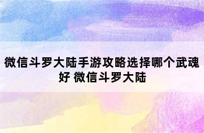 微信斗罗大陆手游攻略选择哪个武魂好 微信斗罗大陆